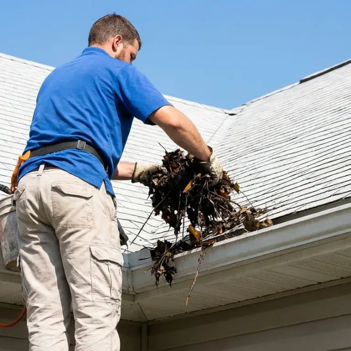 Roof Gutter Cleaning